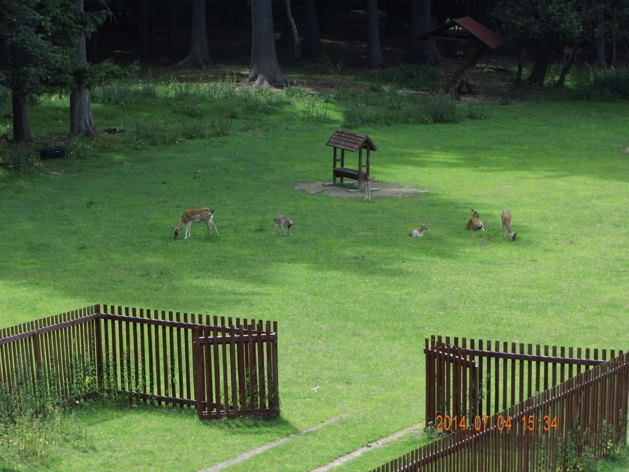 Pension Villa Berolina Marianske Lazne Luaran gambar